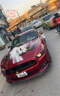 فورد موستانج